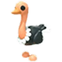Ostrich