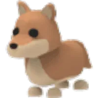Dingo