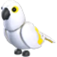 White Amazon