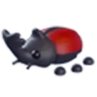 Rhino Beetle