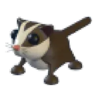 Sugar Glider