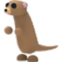 Meerkat