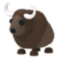 Buffalo