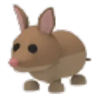 Bandicoot