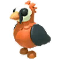 Lammergeier