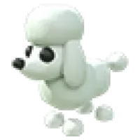 Poodle