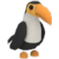 Toucan