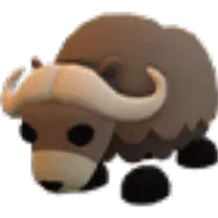 Musk Ox