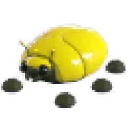 Giant Gold Scarab