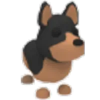 Australian Kelpie
