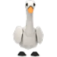 Swan