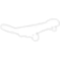 Neon White Skateboard