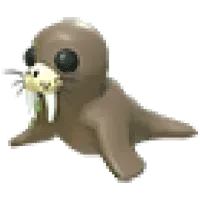 Walrus