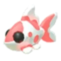 Koi Carp