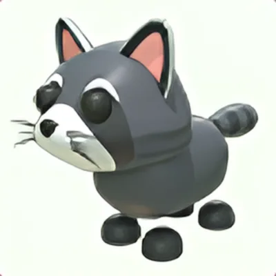 Raccoon